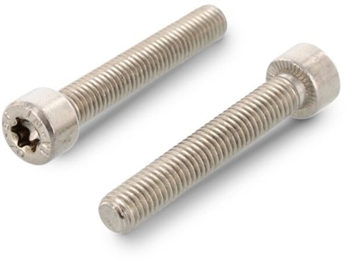 ISO 14579 Cilinderkopschroef CK/TX8 M2,5x8 RVS-A2 (500 st.)