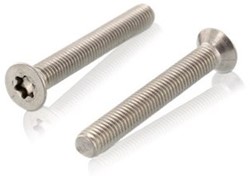 Hardhoutschroeven met verzonken Torx kop RVS A2 - AISI 304