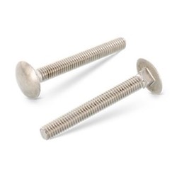 DIN 603 Slotbout RVS-A2