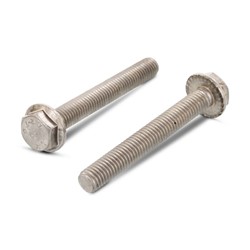 DIN 6921 Zeskant flensbout