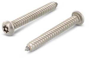 DIN 7981 Bolkop parker torx-PIN RVS-A2