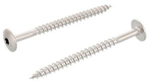 Schroeven voor Trespa® platen wit RVS 4.8 x 60 mm Kopen